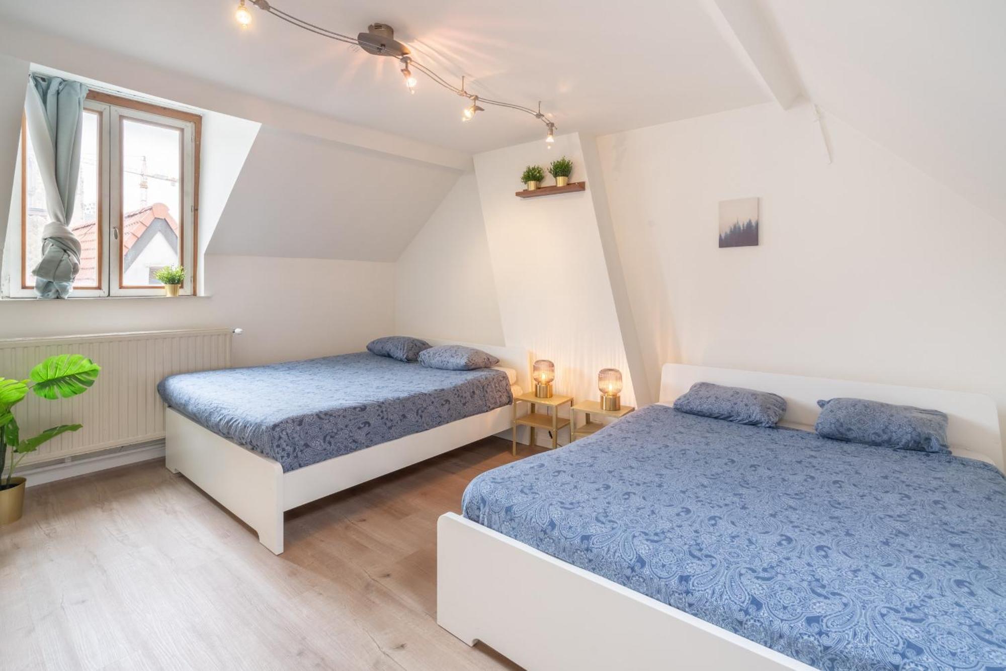Authentic Apartments In The Center Of Antwerpen Kültér fotó